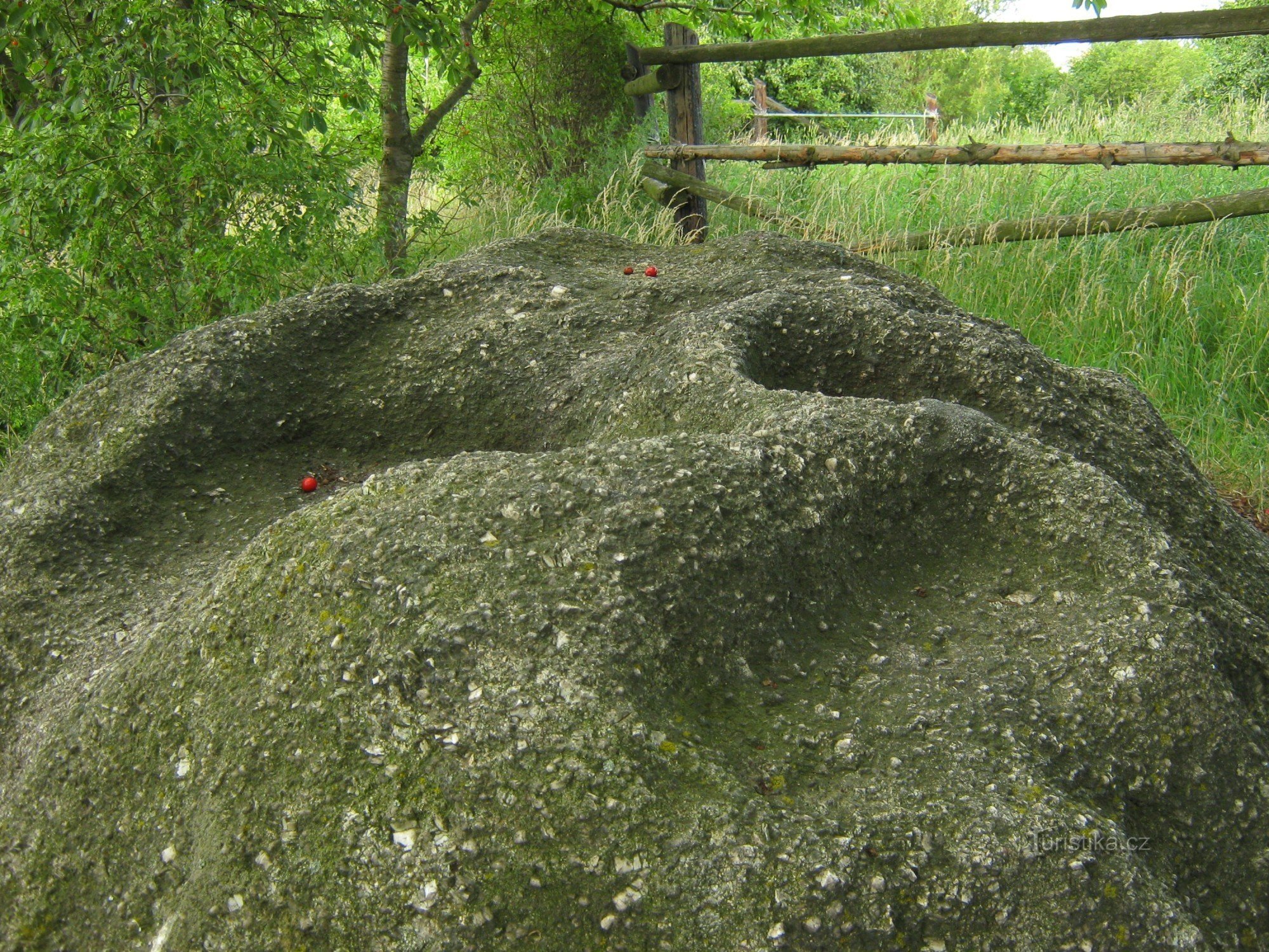Boluri de piatră sub cireși