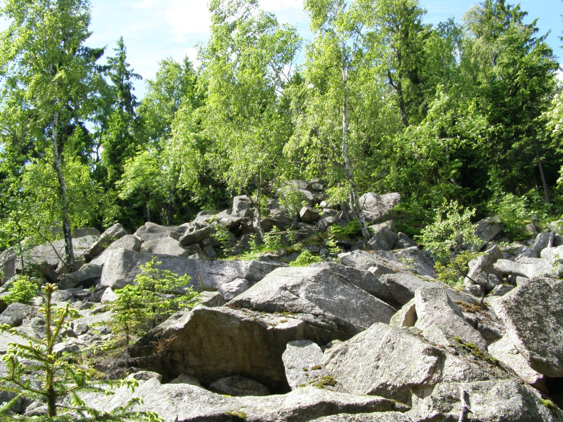 stenen veld bij de klim naar Muchov