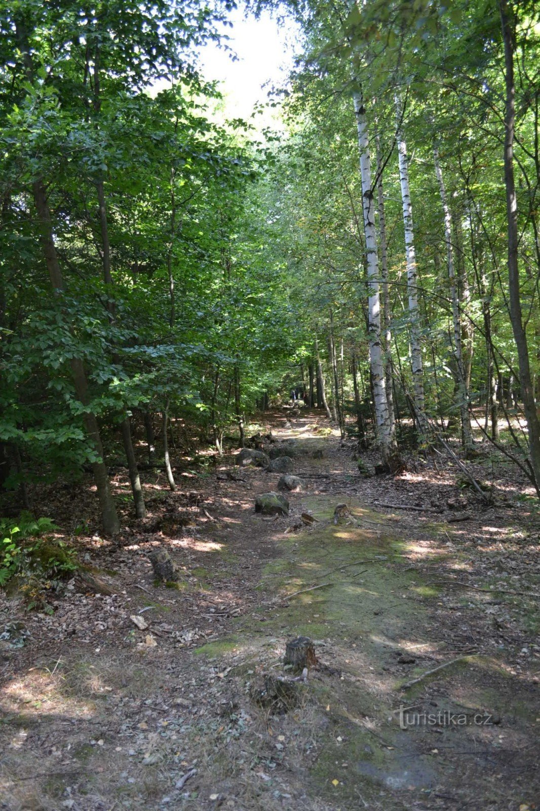 Rangées de pierres près de Kounov