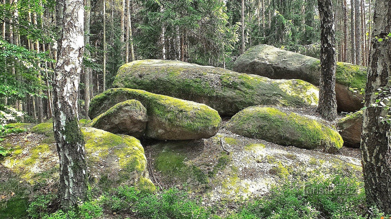 "stenbesætning", der dækker et areal på cirka 17 ha skov