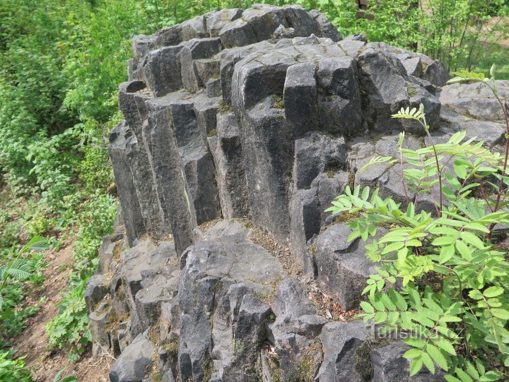 Stone organ at Dymník near Rumburk