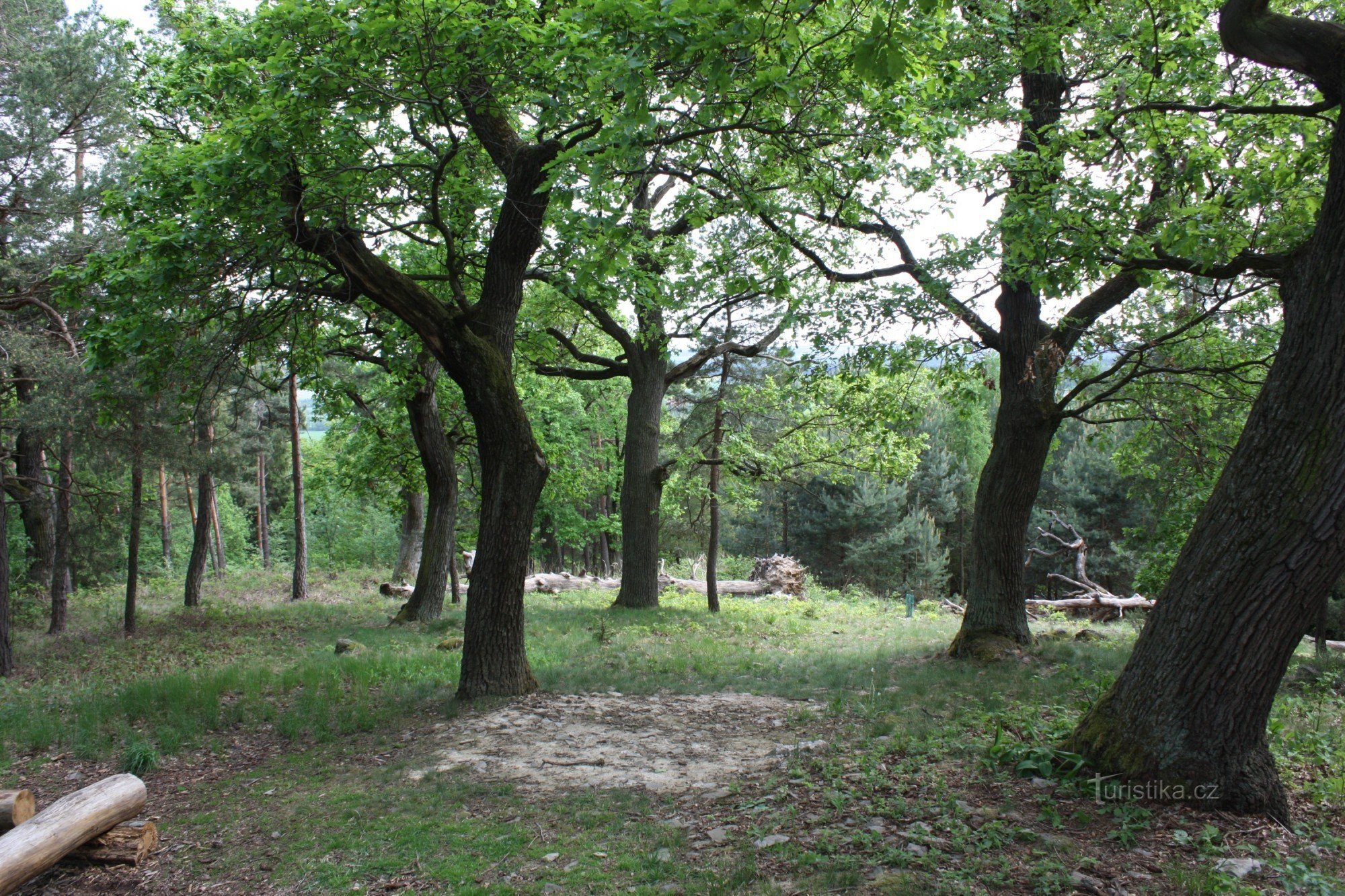 Steinreste des Aussichtsturms Na Chlumu bei Slatiňany