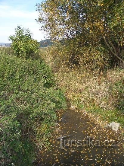 Kamennský potok: View of Kammennský potok