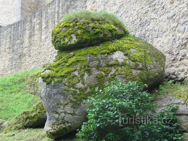 Pilz aus Stein