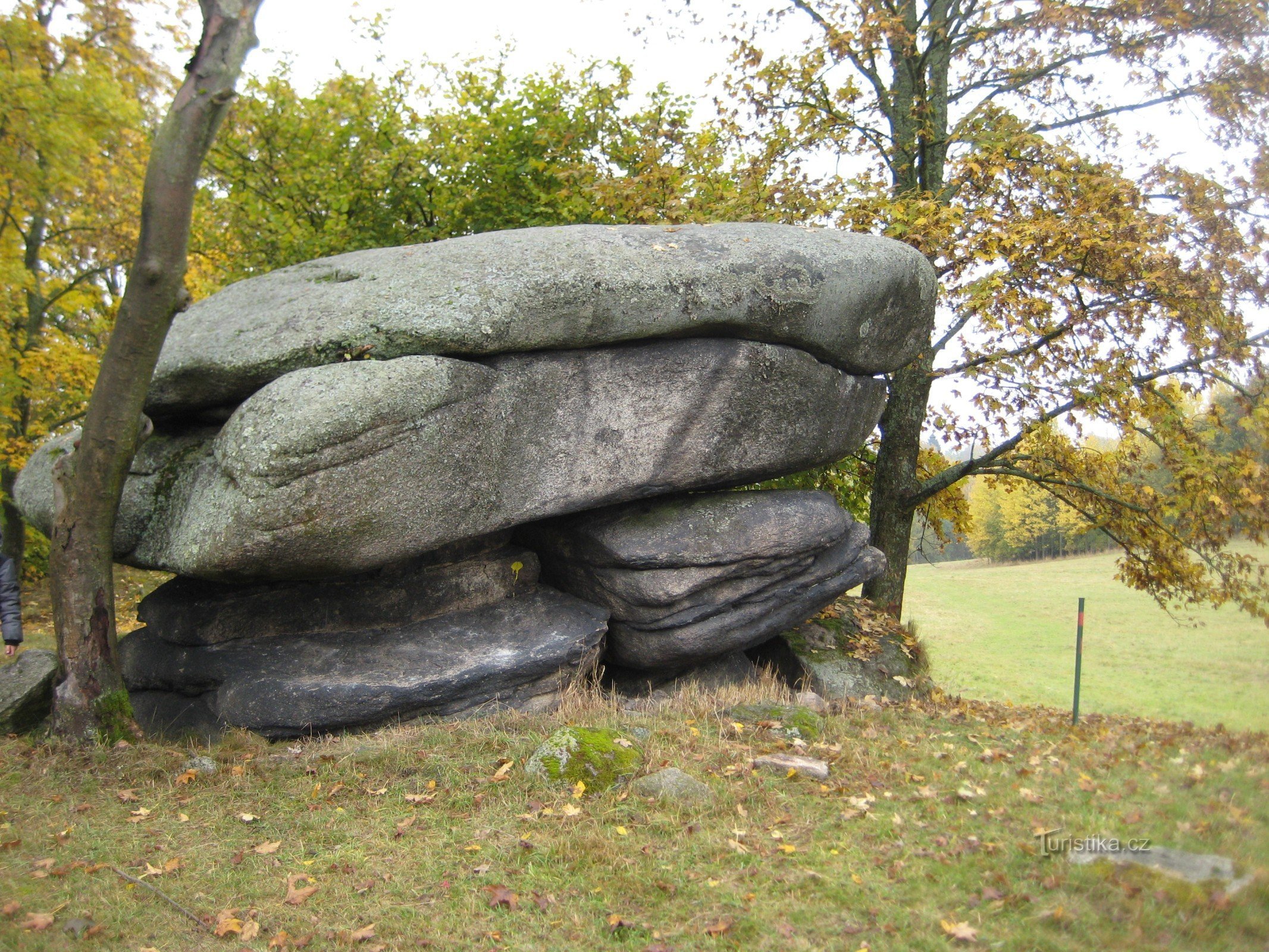 Ciupercă de piatră - Šindelová