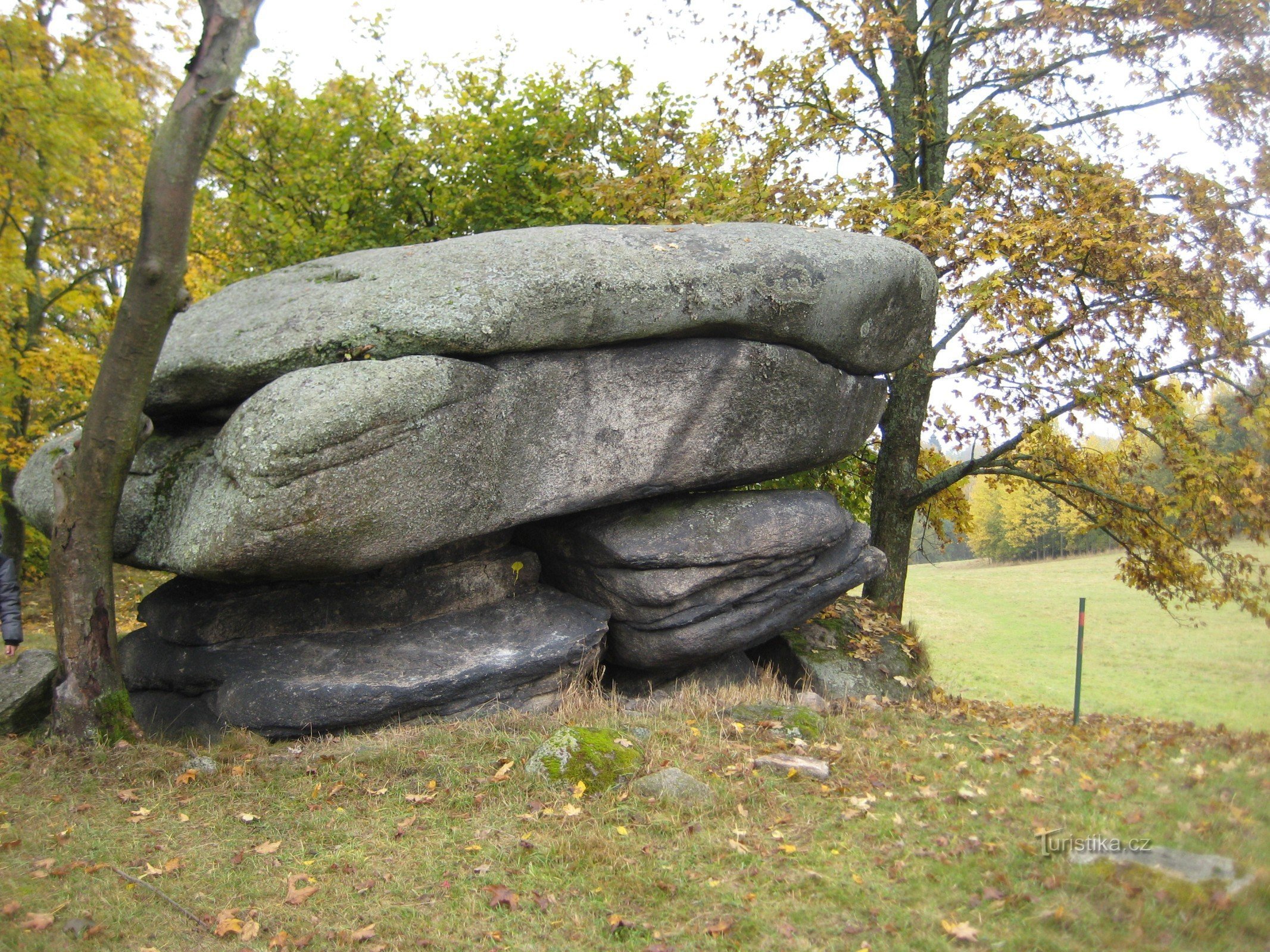 Stone mushroom - Šindelová