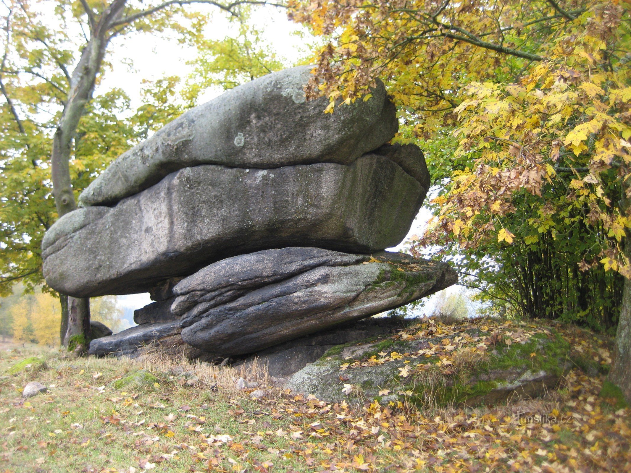 Champignon de pierre - Šindelová