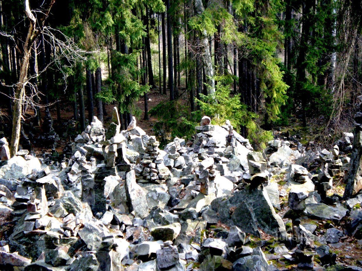Foresta di pietra vicino a Viklan