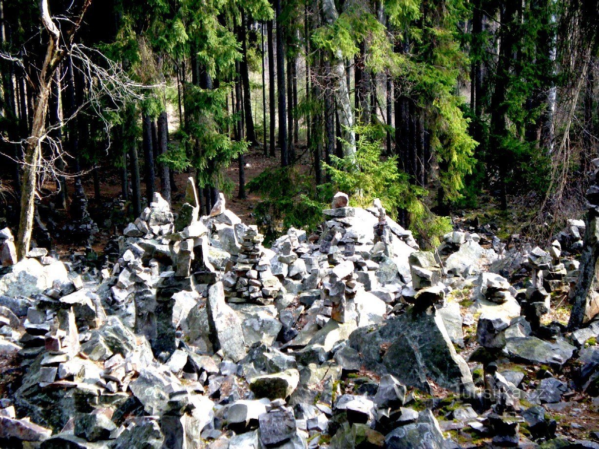 Stone forest near Viklan