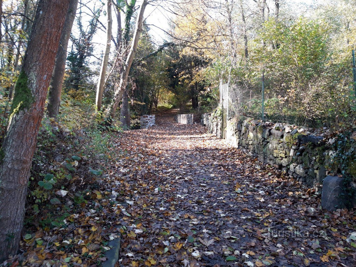 The stone bridge over the Tismenický stream, which didn't want to talk to me