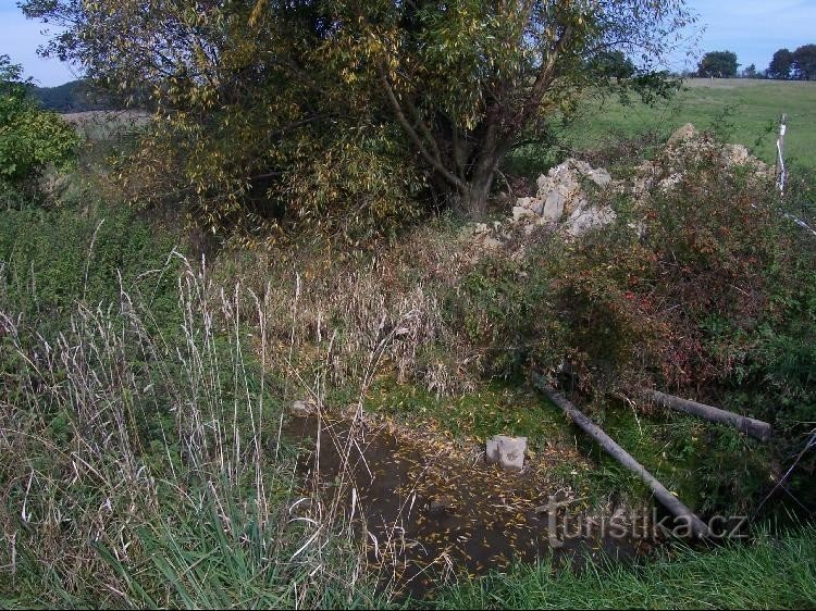Kamenný potok: Pohled na Kammenský potok