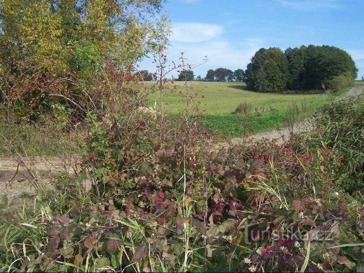 Kamenný potok : vue sur les environs du ruisseau