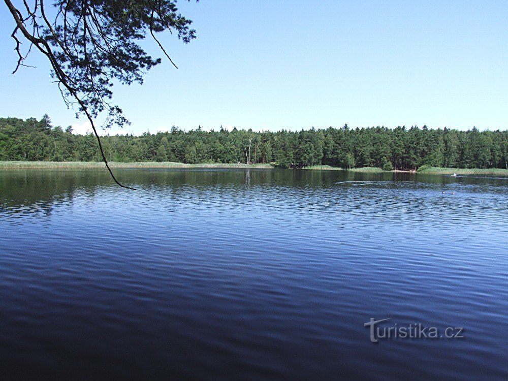 Bassin en pierre