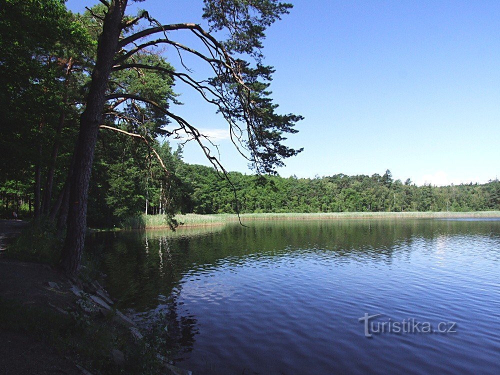 Lagoa de pedra