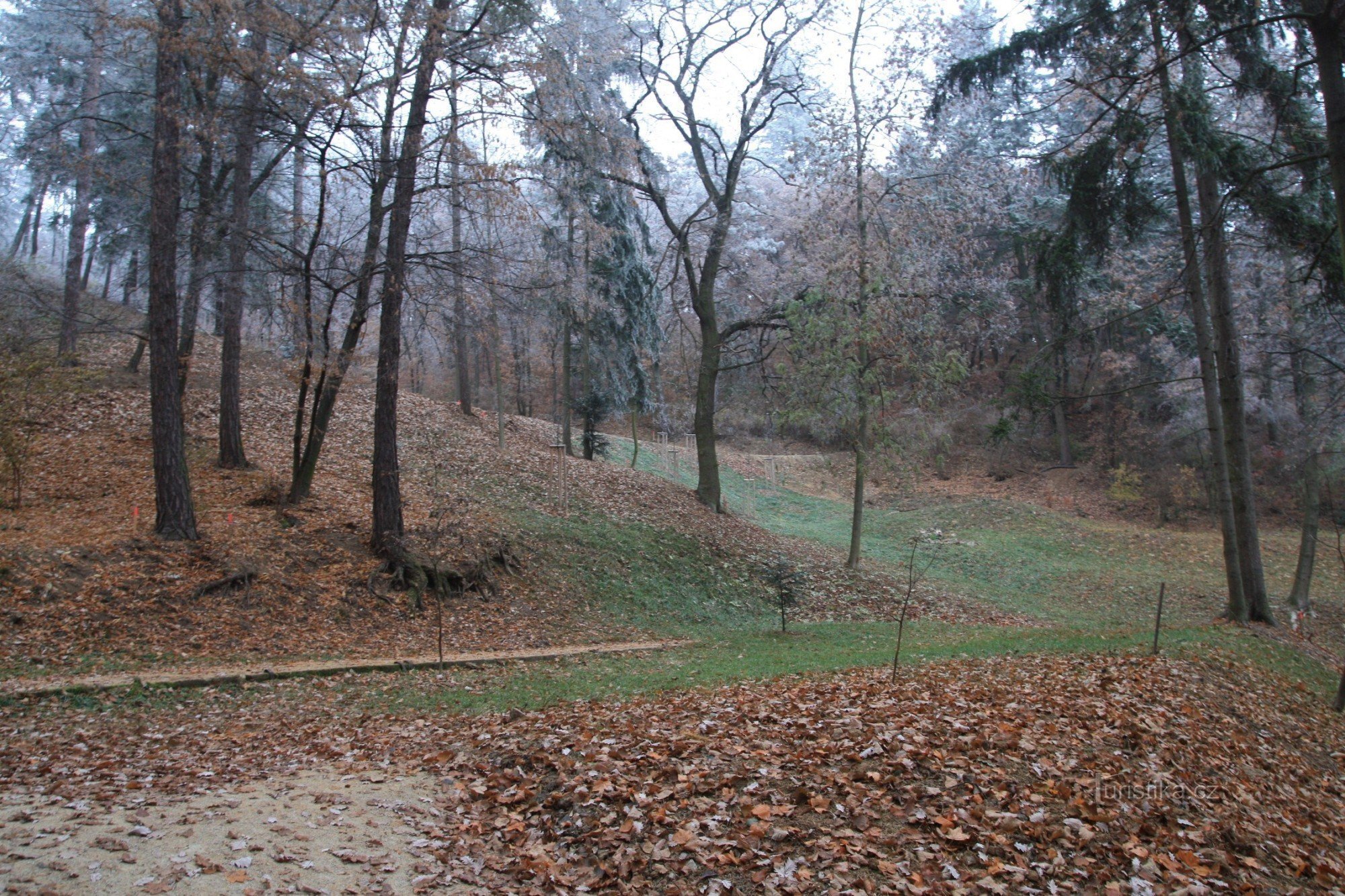 Kamenný vrch - erdei park