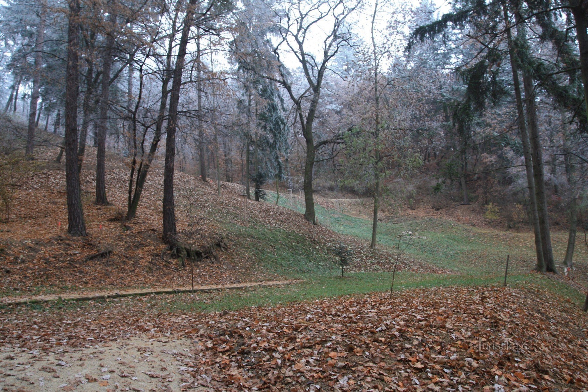 Kamenný vrch - park leśny