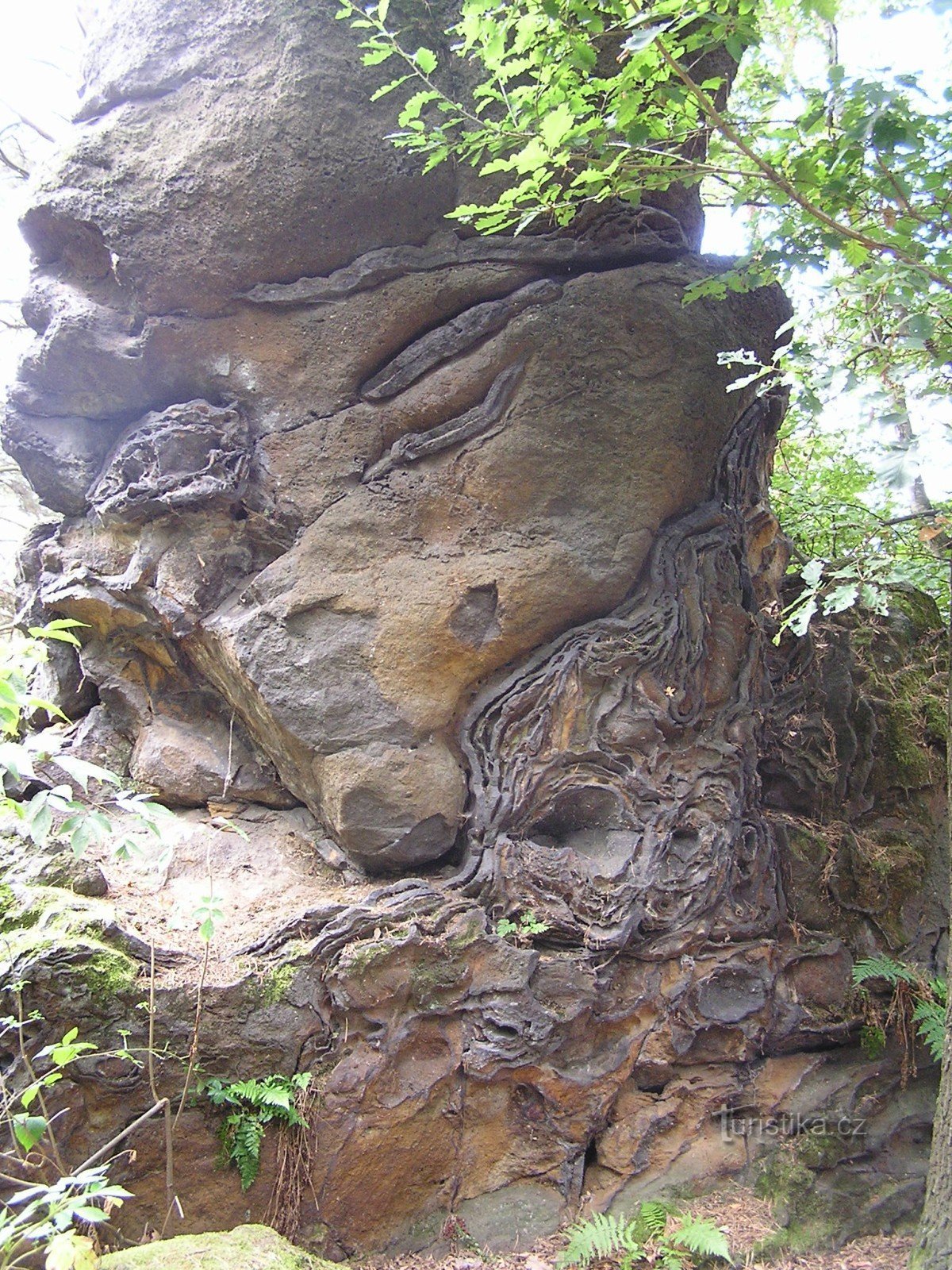 Kamenný vrch nära Křenov (9/2015)