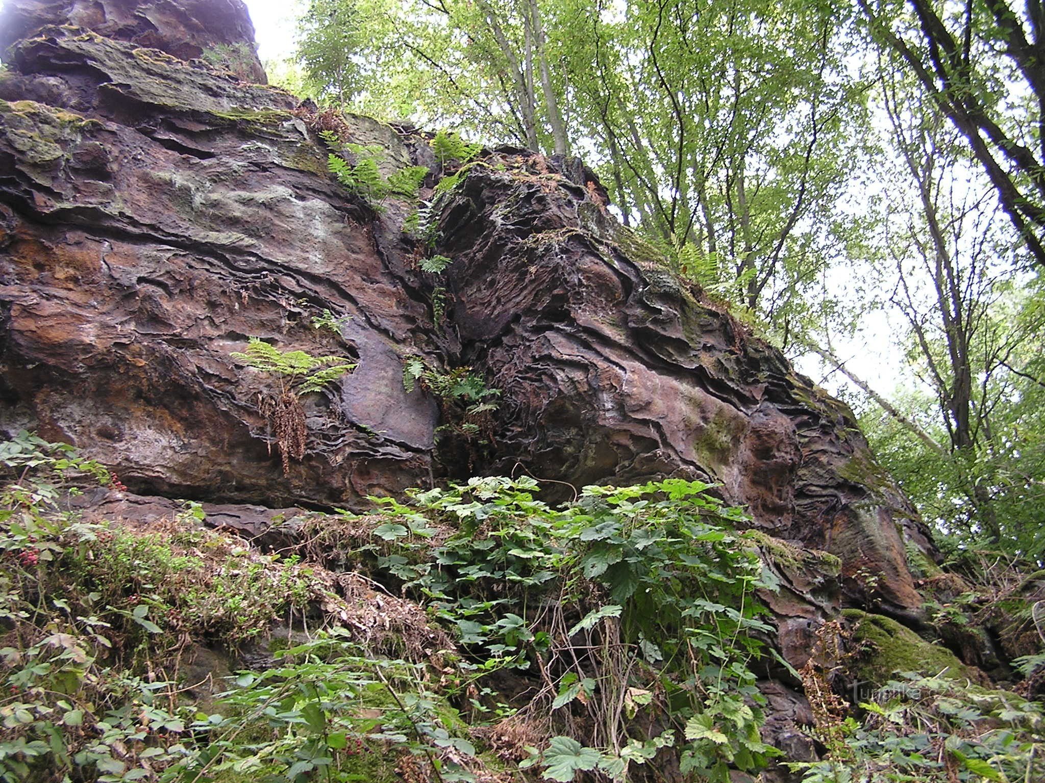 Kamenný vrch perto de Křenov (9/2015)