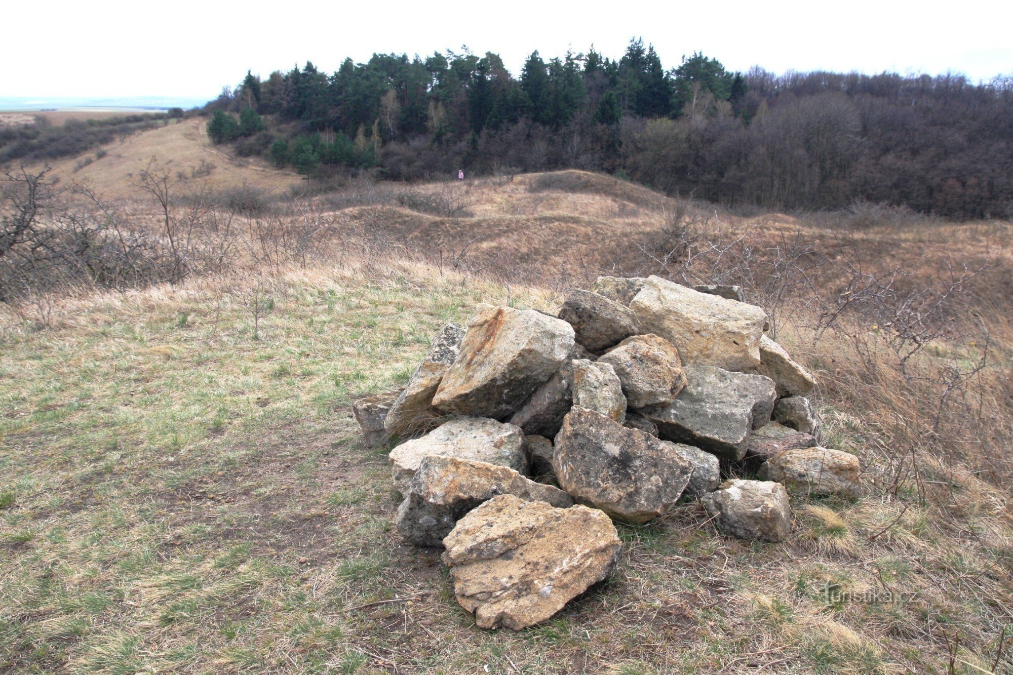 Kamenný vrch - vrcholová část