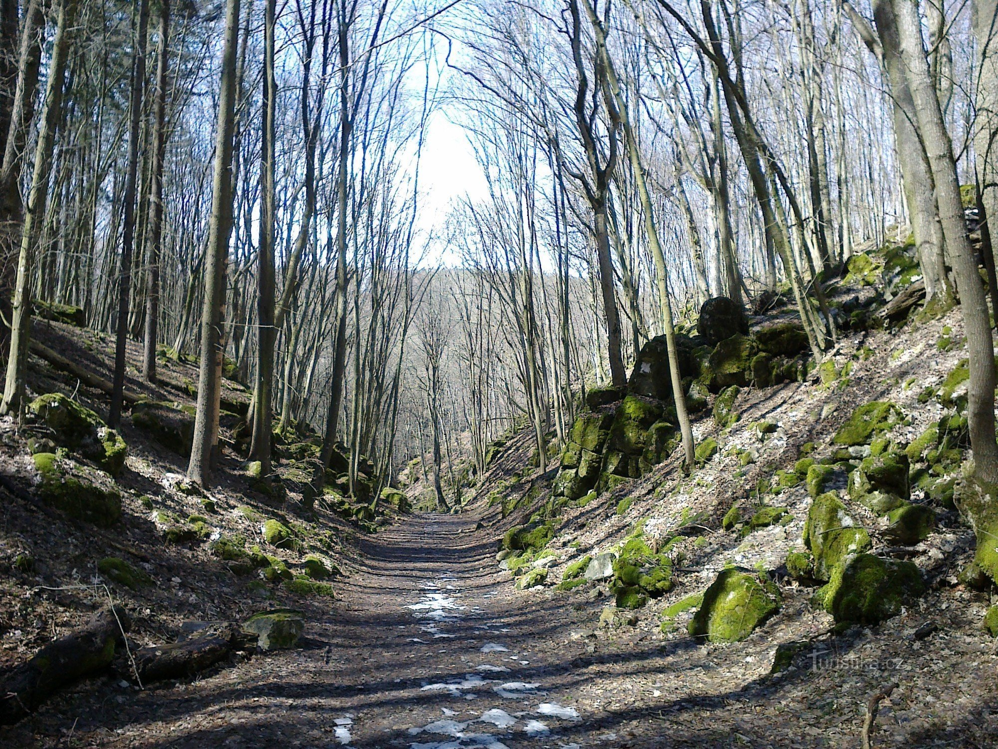 Canelura de piatra I.