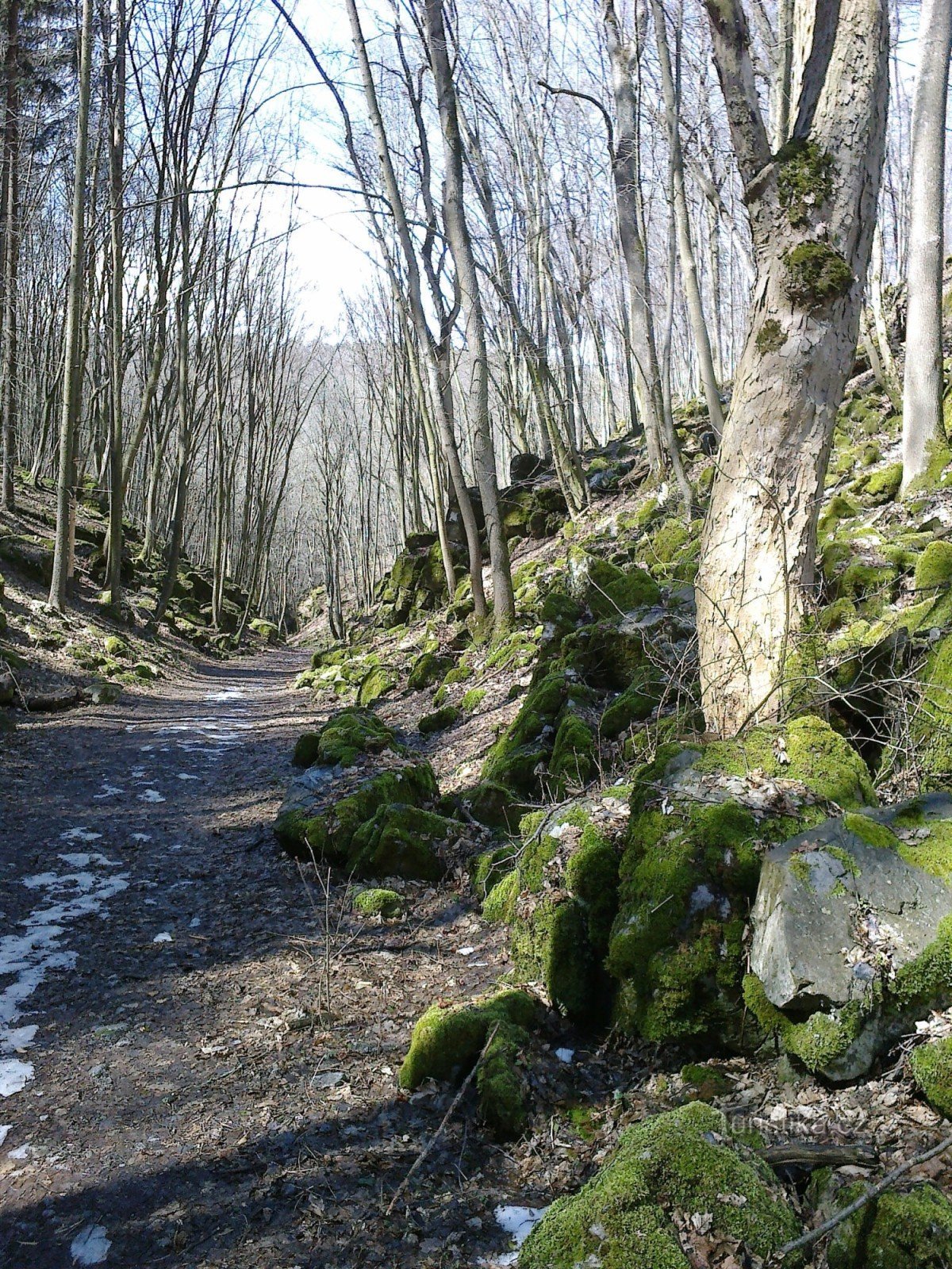 Sulco de pedra II.