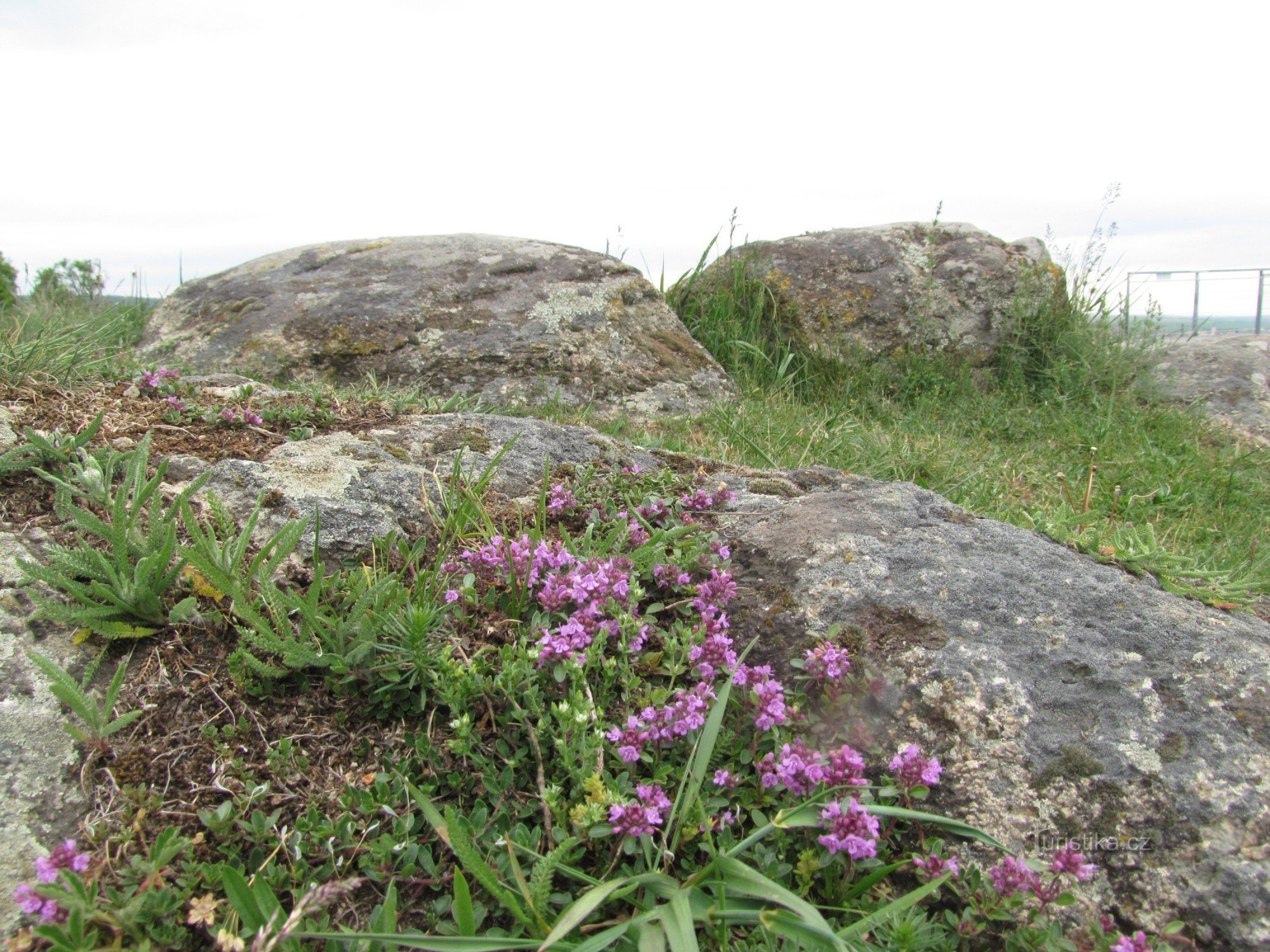 piedras en la piedra sagrada