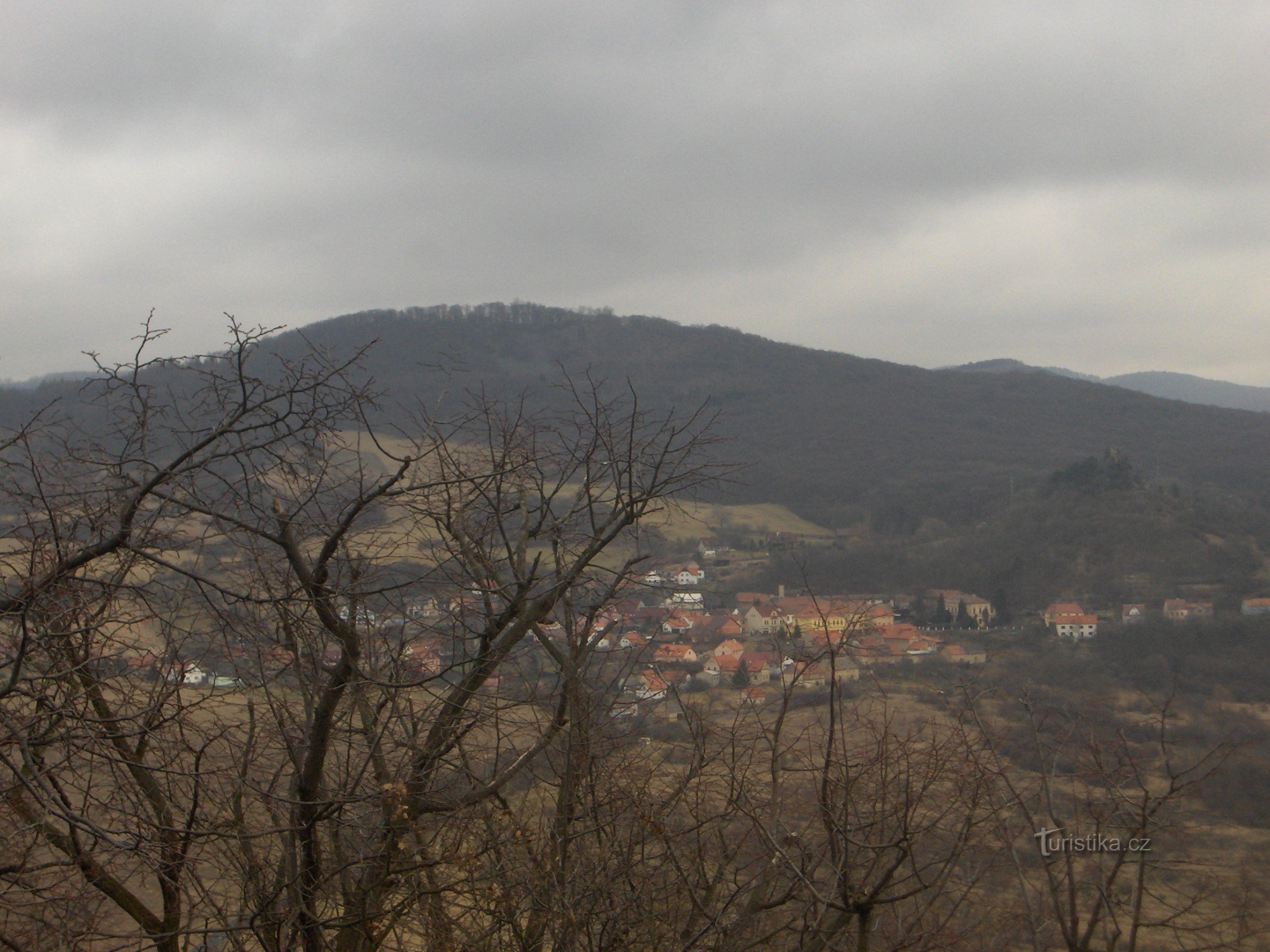 Камик, Плешівець