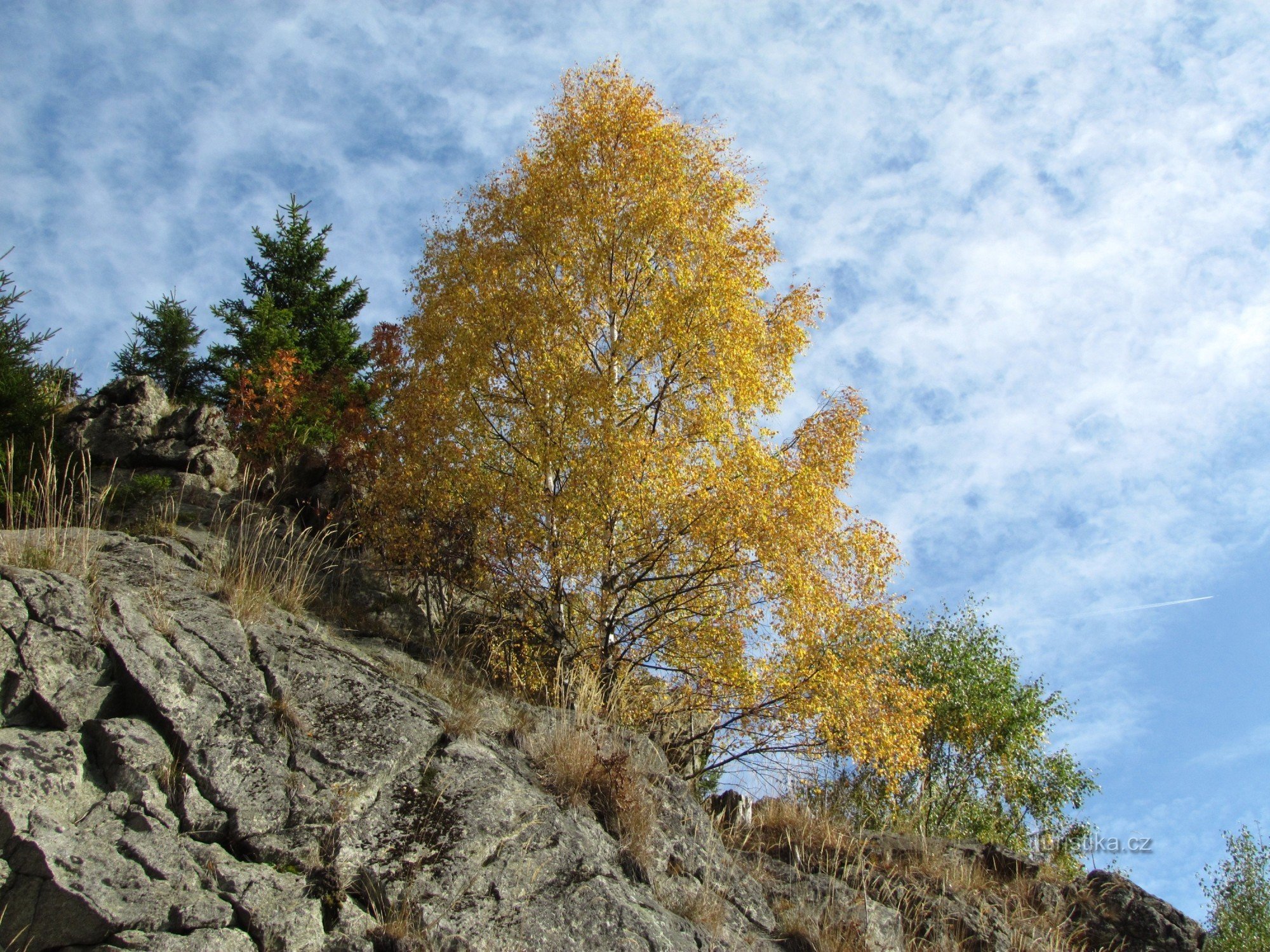 Замша скеля