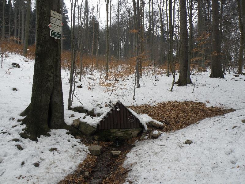 Kamzičí studánka