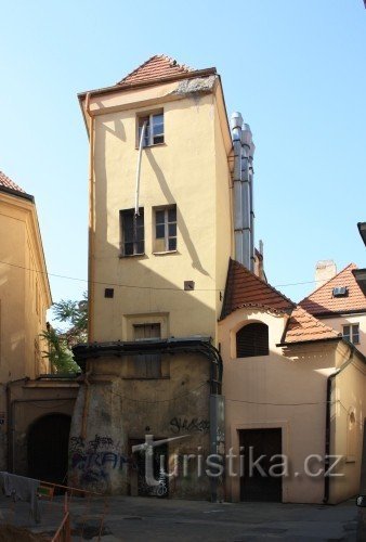 Kamzíková