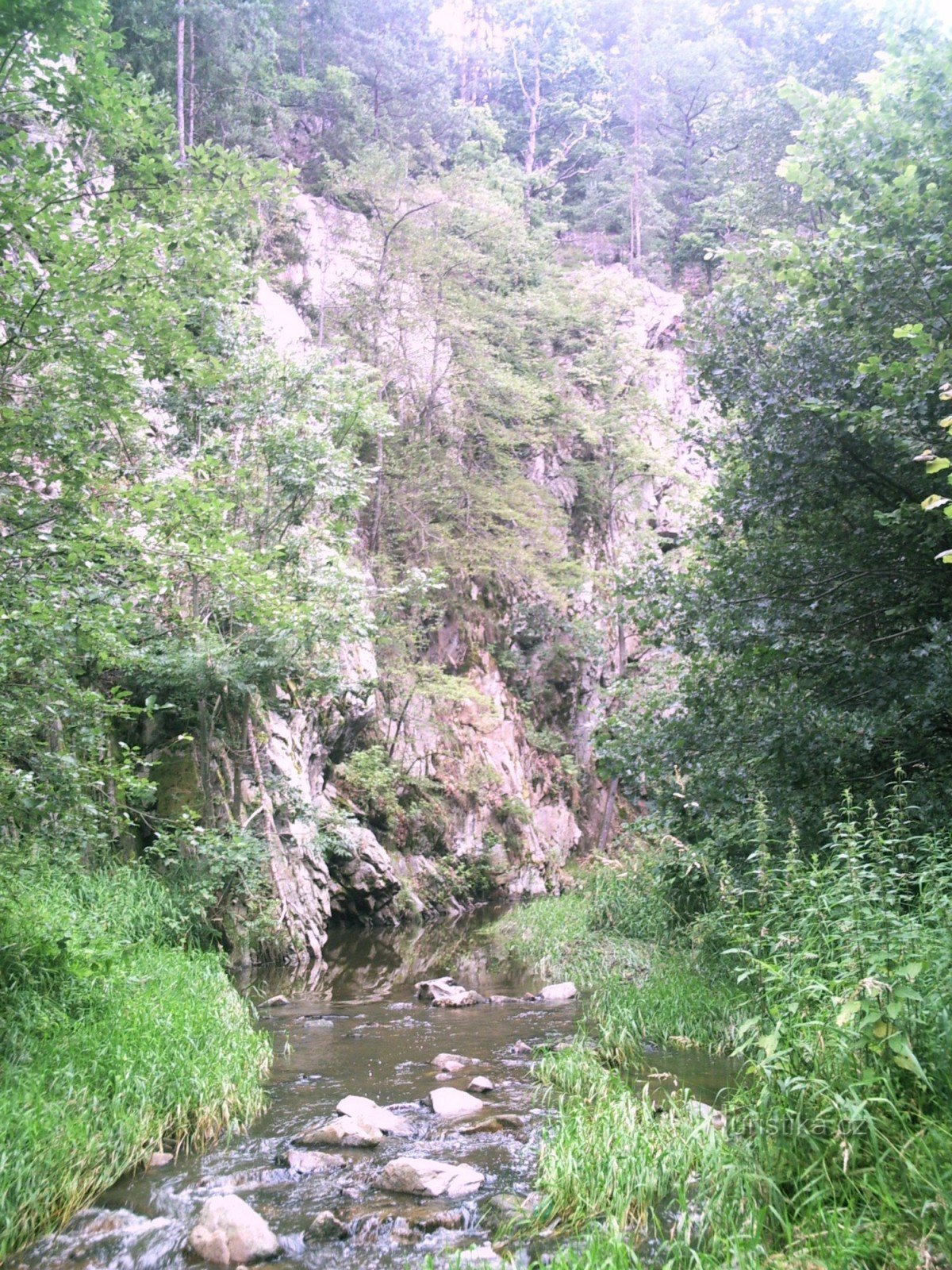 Canyon de ruisseau