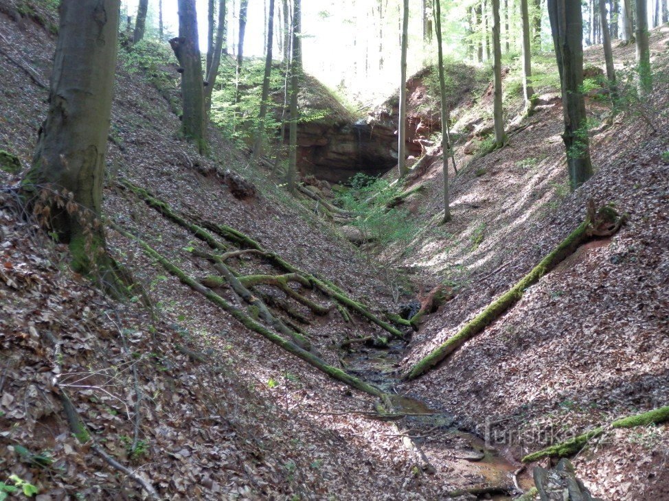 背後に低い滝がある峡谷