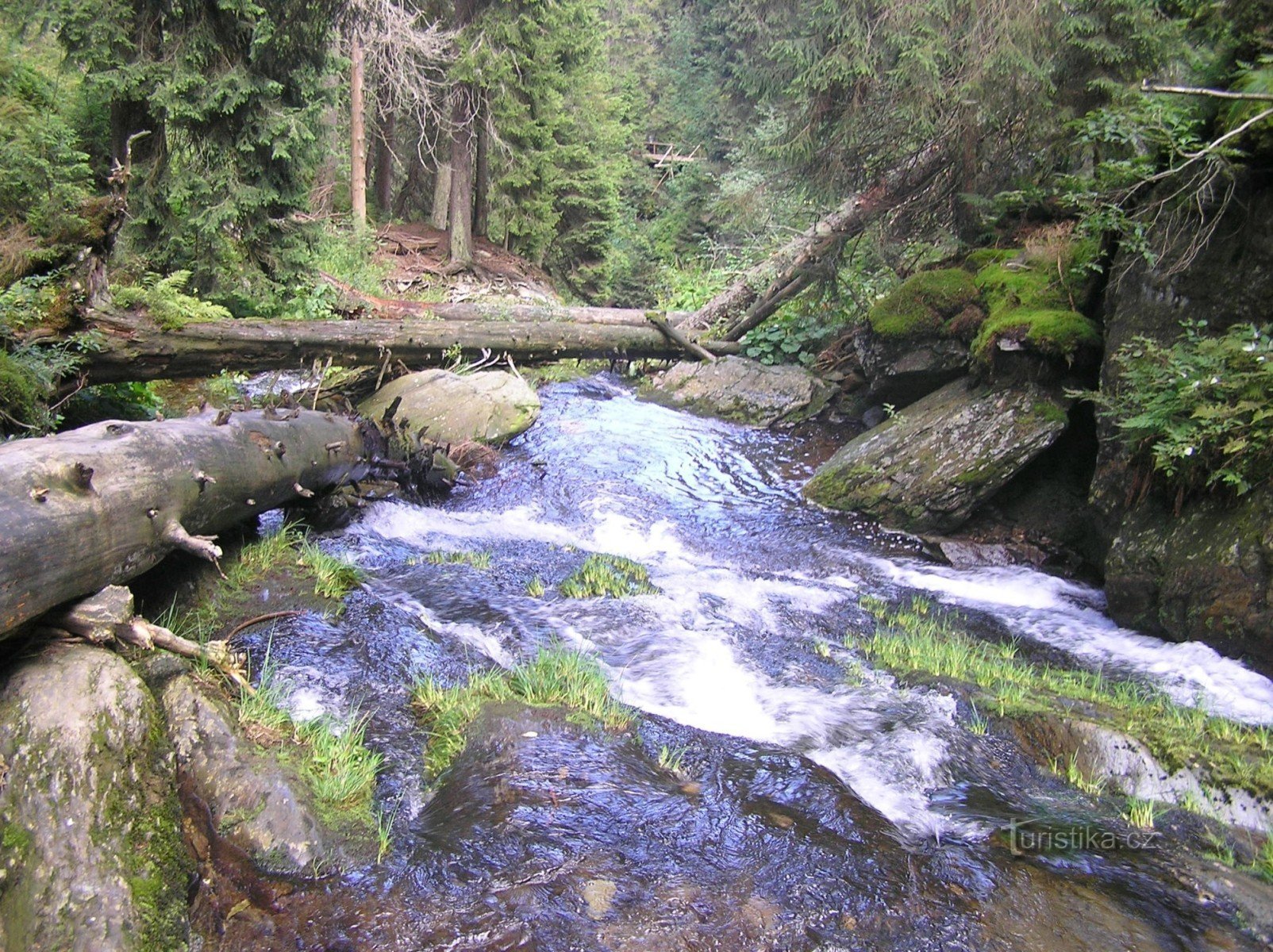 kløftlignende dal Bílá Opava (september 2006)