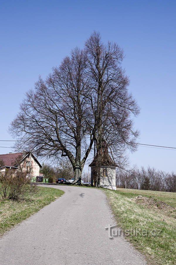 The chapel is framed by two lime trees