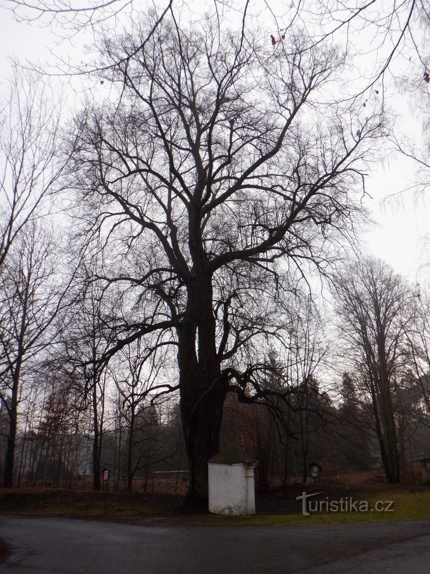 Cappella e albero commemorativo nella città di Doksy