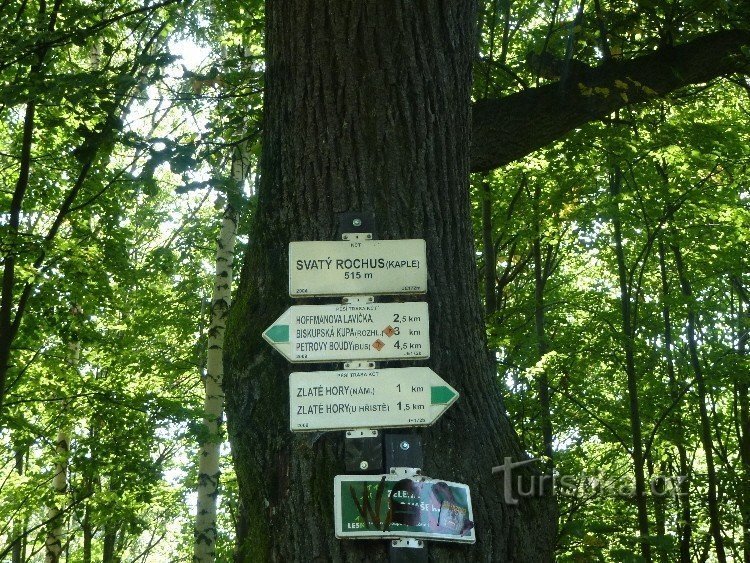 Kaplička sv.Rochus