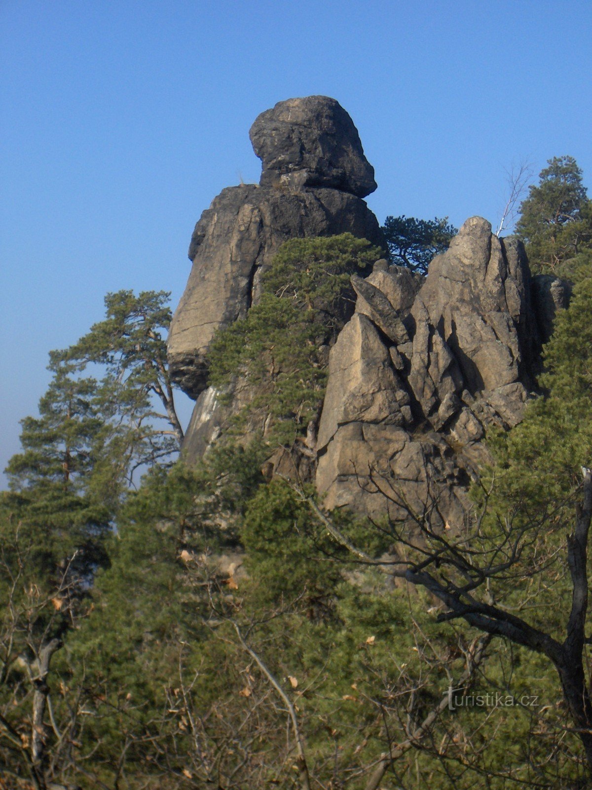 オマキザル岩