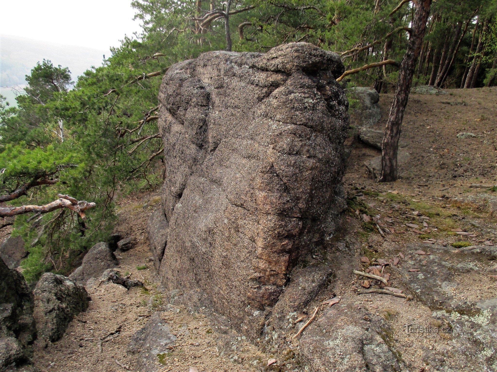 オマキザル岩