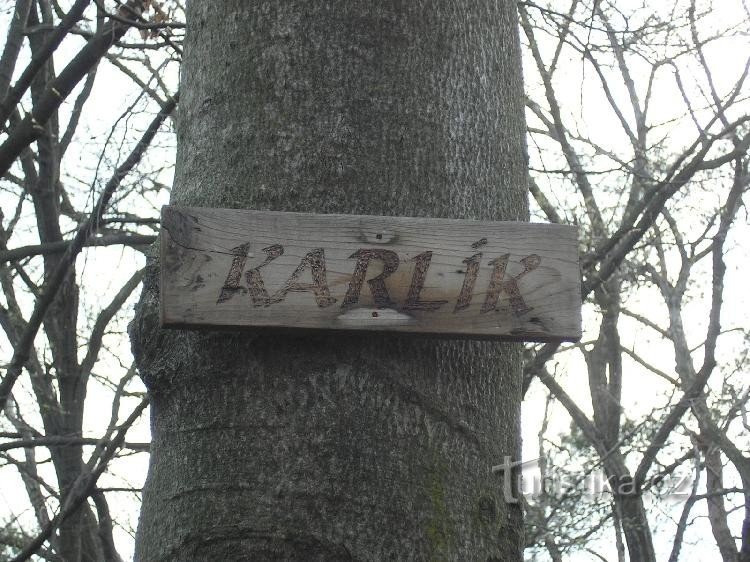 Karlik