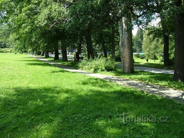 Karlova Studánka - Hubert