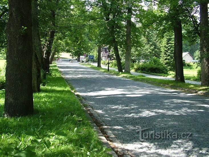 Karlova Studánka - Hubert