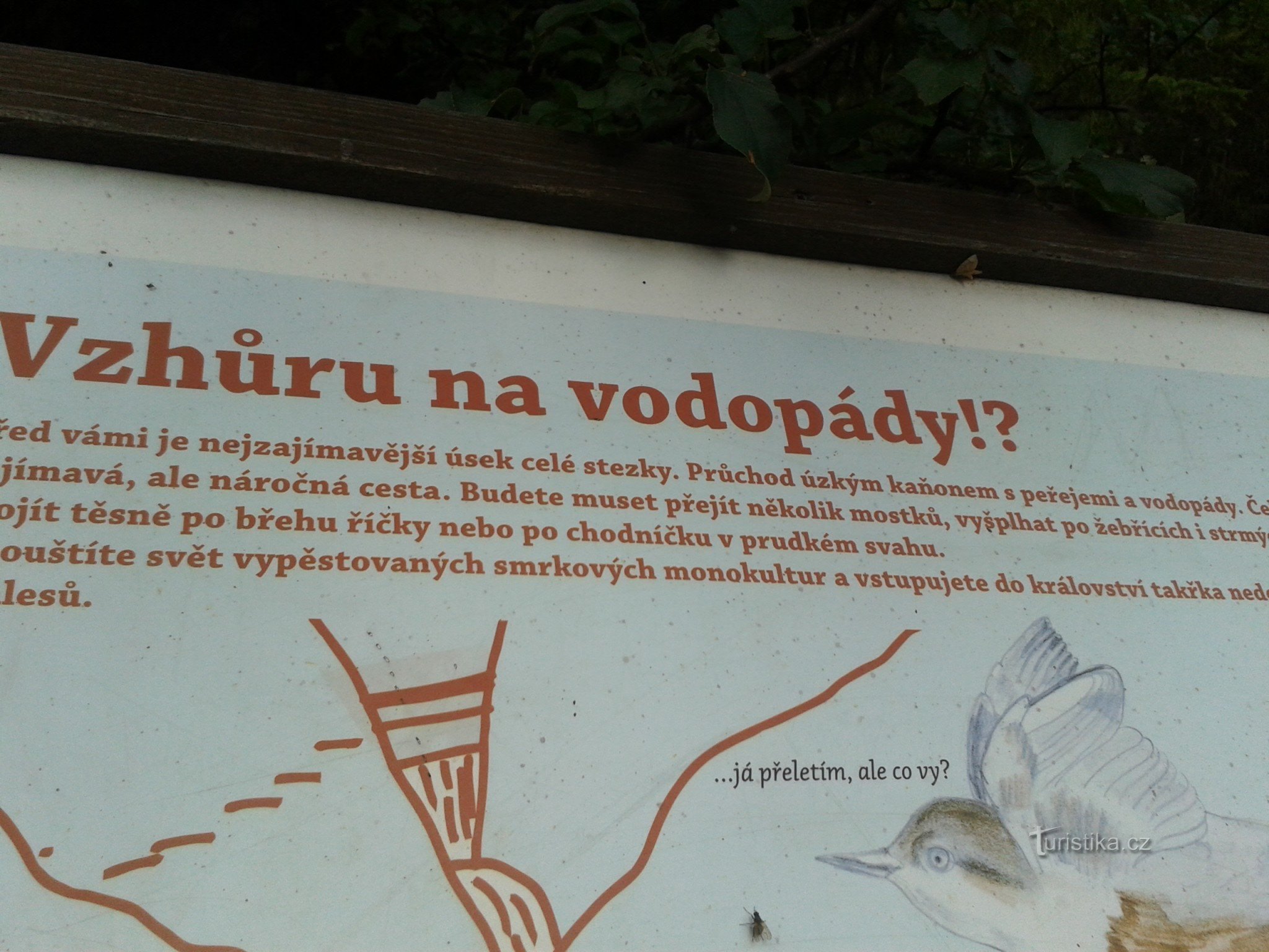 Карлова Студанка-водоспади Білі Опави-Ч.Барборка-Прадед та спуск на самокатах з дітьми