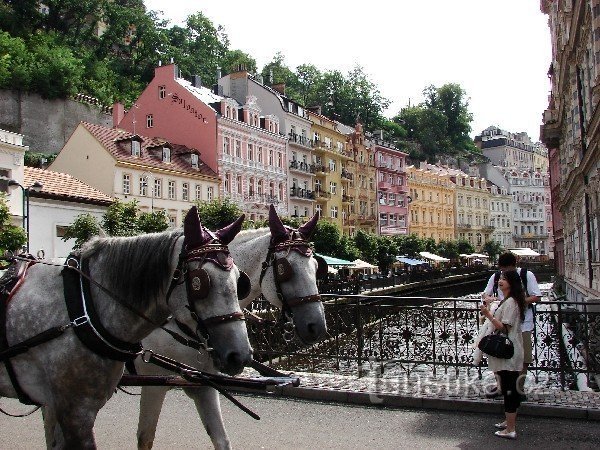 Karlovy Vary