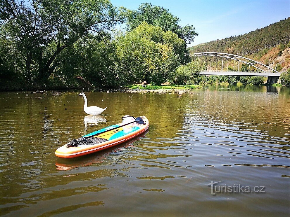 Karlštejn z paddleboardu - rejs Serbia - Zadní Trebaň