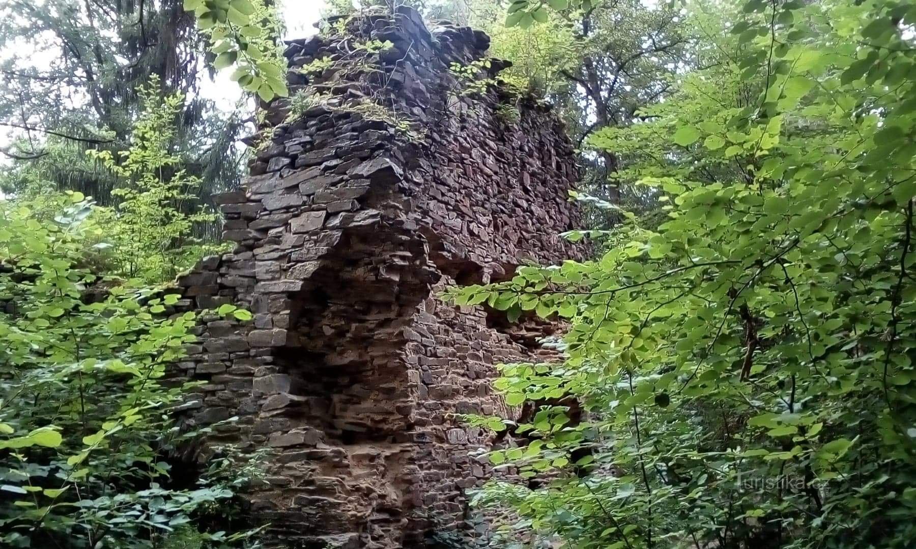 Castillo de Carlos