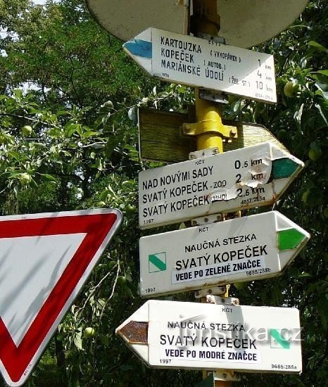 Kartouzka: 03_Dolany-Nové Sady, tourist signpost with pointer to Kartouzka.