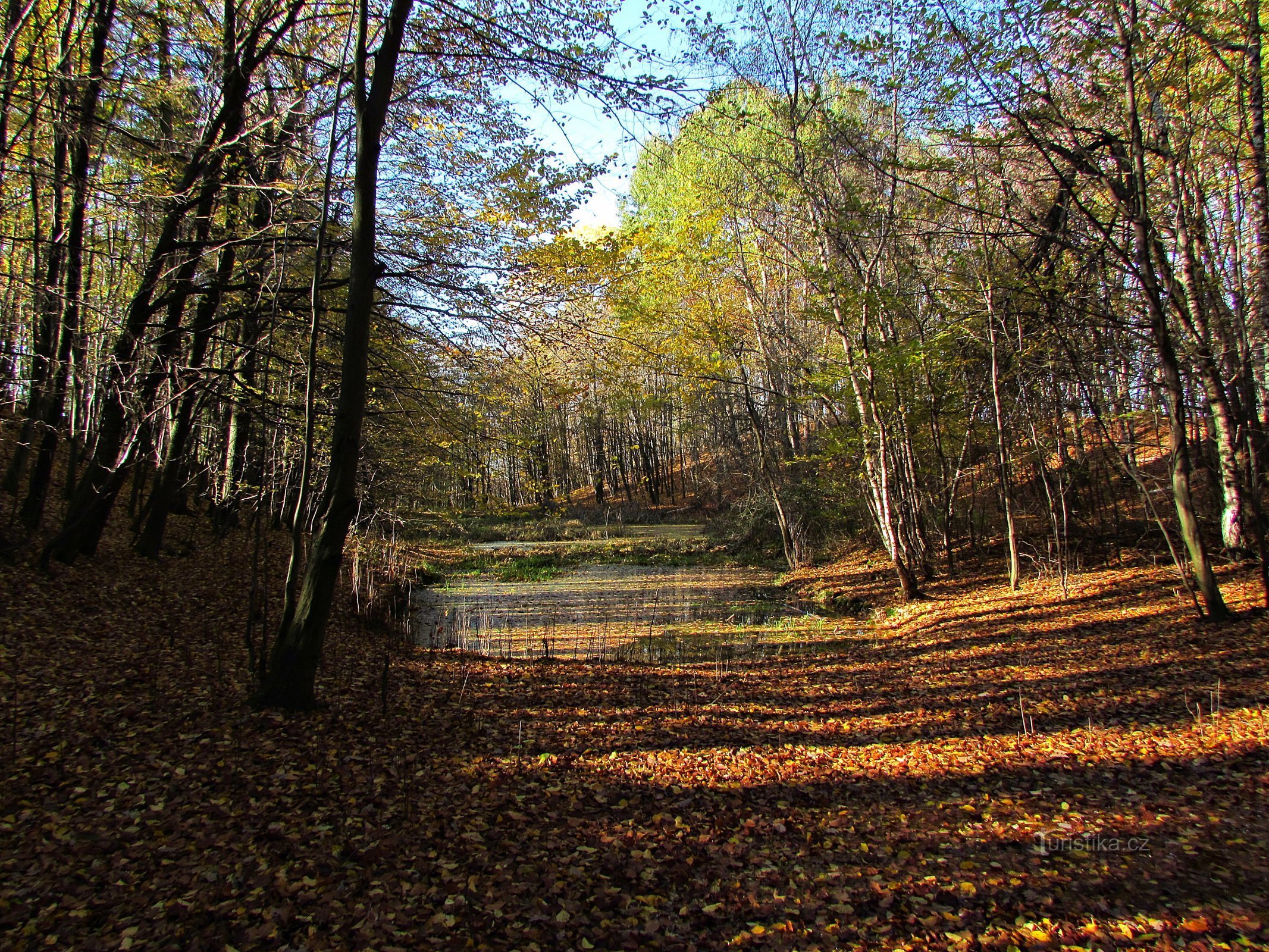 Kasava - lac à Vinohrádek