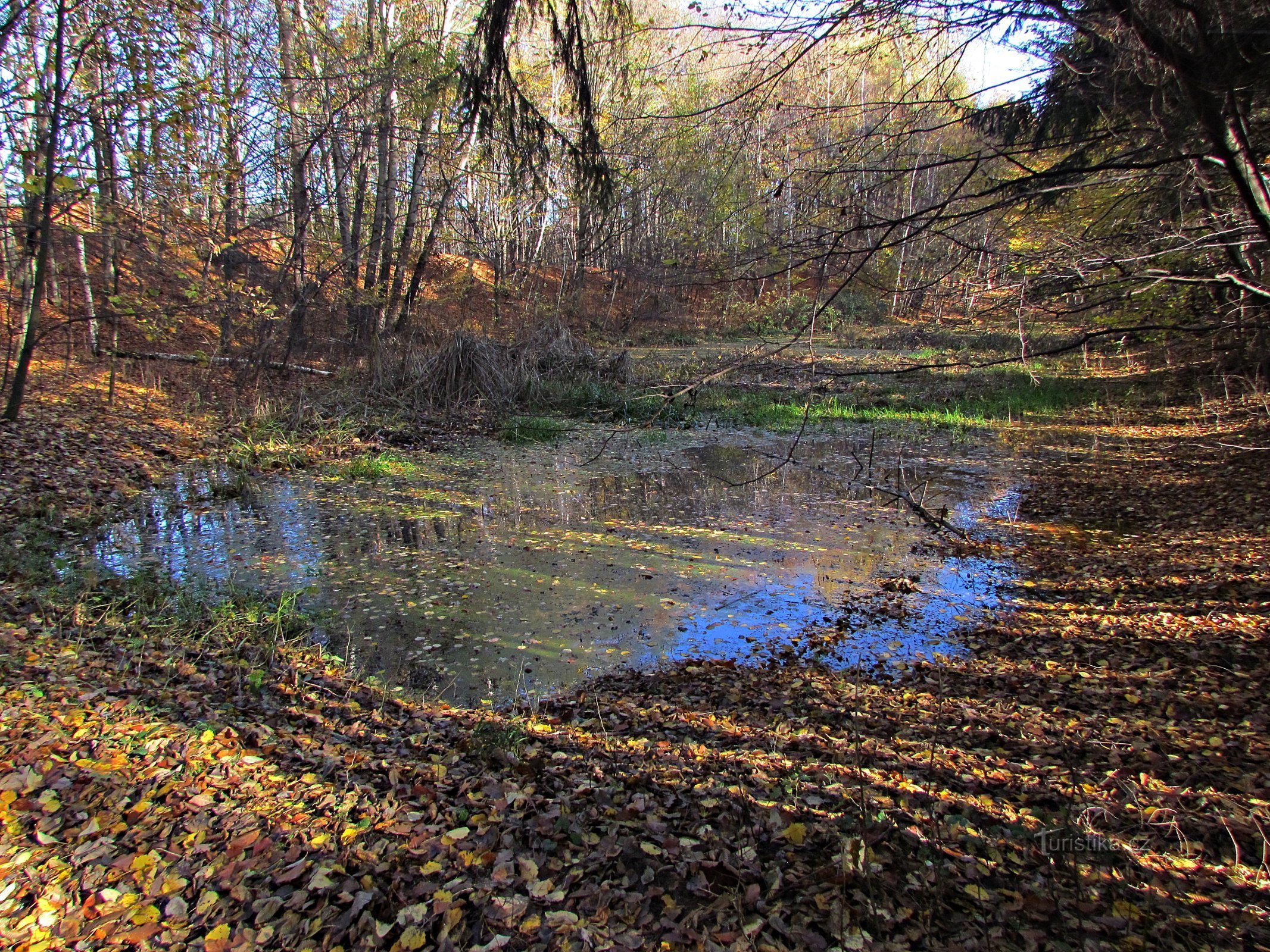 Kasava - lago em Vinohrádek