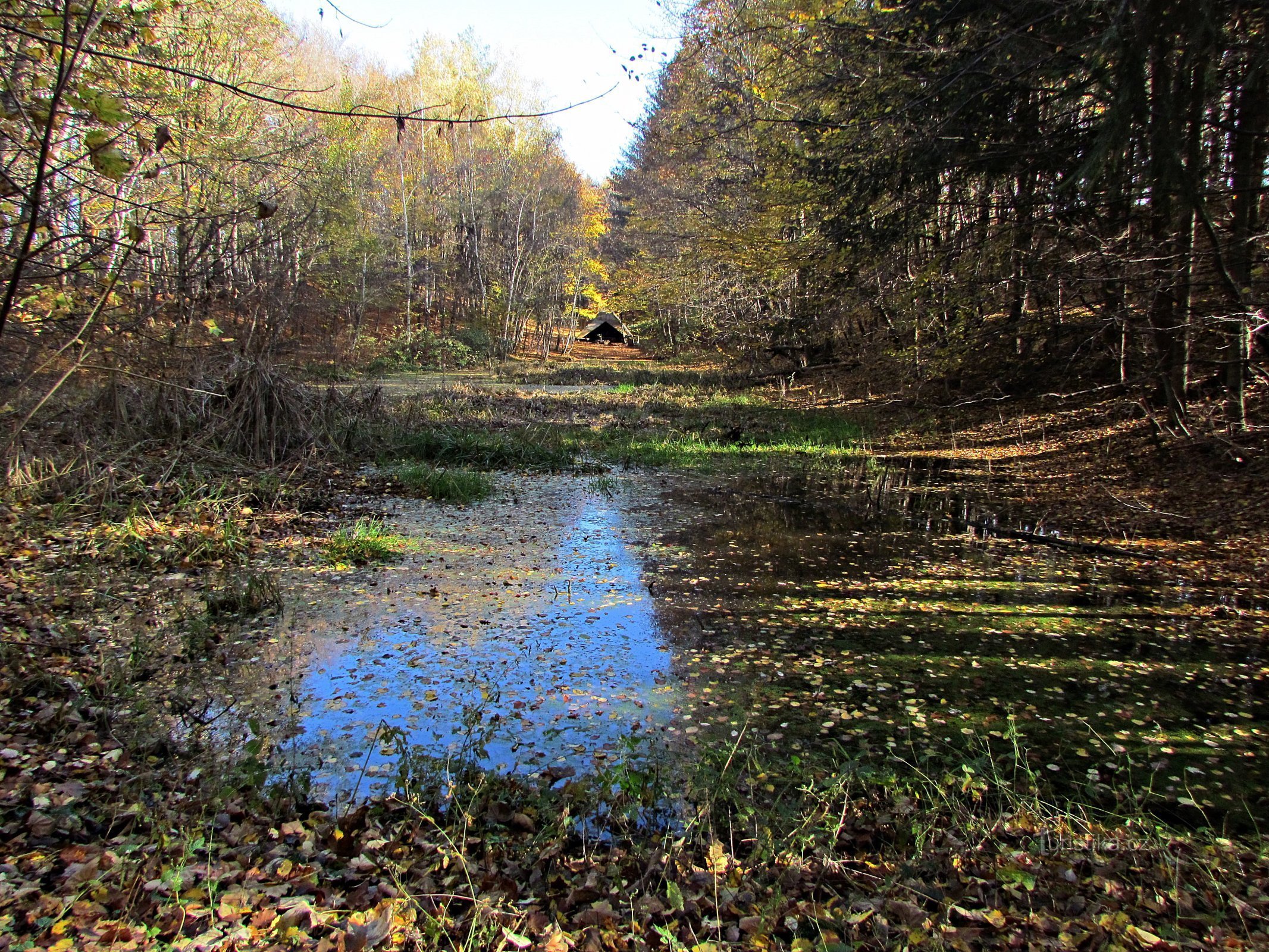 Kasava - sjö i Vinohrádek