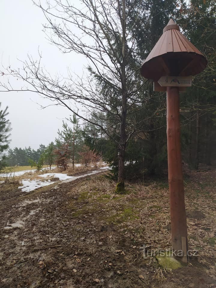 Kašavska učna pot februarja